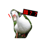 08 a life.（個別スタンプ：5）