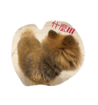 cute cute dog dog 2（個別スタンプ：6）