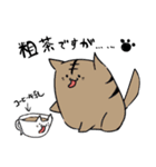 あごの曲がった猫（個別スタンプ：11）
