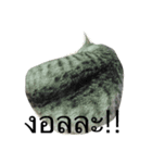 Tus is happiness（個別スタンプ：7）