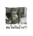 Tus is happiness（個別スタンプ：8）