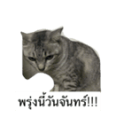 Tus is happiness（個別スタンプ：9）