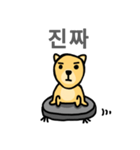 Clean DOG (Wordplay)（個別スタンプ：12）