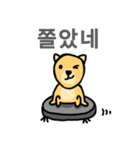 Clean DOG (Wordplay)（個別スタンプ：13）