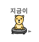 Clean DOG (Wordplay)（個別スタンプ：16）