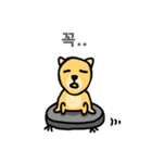 Clean DOG (Wordplay)（個別スタンプ：17）