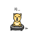 Clean DOG (Wordplay)（個別スタンプ：23）