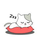 Gray Cat (KLA)（個別スタンプ：2）