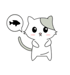Gray Cat (KLA)（個別スタンプ：3）