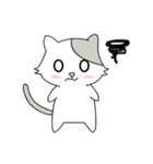 Gray Cat (KLA)（個別スタンプ：5）