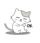 Gray Cat (KLA)（個別スタンプ：10）