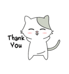 Gray Cat (KLA)（個別スタンプ：12）