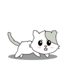 Gray Cat (KLA)（個別スタンプ：15）