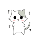 Gray Cat (KLA)（個別スタンプ：16）