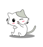 Gray Cat (KLA)（個別スタンプ：17）