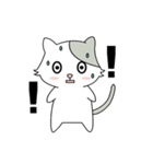 Gray Cat (KLA)（個別スタンプ：19）