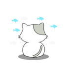 Gray Cat (KLA)（個別スタンプ：20）