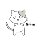 Gray Cat (KLA)（個別スタンプ：21）
