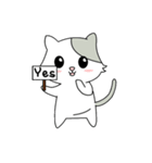 Gray Cat (KLA)（個別スタンプ：22）