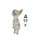 A pair of sisters meow（個別スタンプ：2）