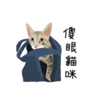 A pair of sisters meow（個別スタンプ：5）