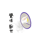 A pair of sisters meow（個別スタンプ：14）