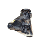 The black dog.01（個別スタンプ：2）