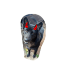 The black dog.01（個別スタンプ：10）
