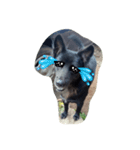 The black dog.01（個別スタンプ：11）