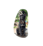 The black dog.01（個別スタンプ：13）