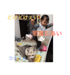 Nagisa'sSticker（個別スタンプ：12）