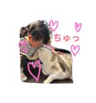 Nagisa'sSticker（個別スタンプ：28）