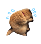 うちの猫。2（個別スタンプ：3）
