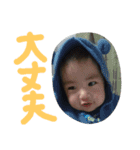 jinjin stamp 3（個別スタンプ：13）