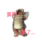 QBabySunny（個別スタンプ：9）