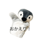 仲良しペンペンズ（個別スタンプ：1）