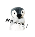 仲良しペンペンズ（個別スタンプ：2）