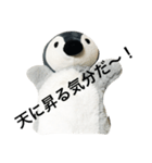 仲良しペンペンズ（個別スタンプ：3）