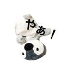 仲良しペンペンズ（個別スタンプ：4）