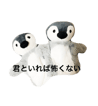 仲良しペンペンズ（個別スタンプ：7）