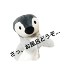 仲良しペンペンズ（個別スタンプ：8）