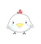 niwatori1（個別スタンプ：3）