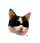 Krazy cute Kitty（個別スタンプ：4）