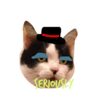 Krazy cute Kitty（個別スタンプ：8）