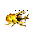 Beetle（個別スタンプ：1）