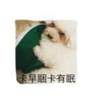 C W Taiwan（個別スタンプ：8）