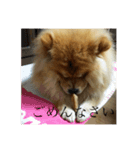 もっちゃんともふもふの日々（個別スタンプ：7）