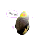 Bird's daily life part.2（個別スタンプ：5）