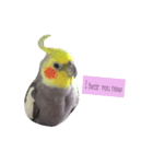 Bird's daily life part.2（個別スタンプ：8）