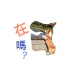 Corgi BJ's feelings v4.0（個別スタンプ：3）